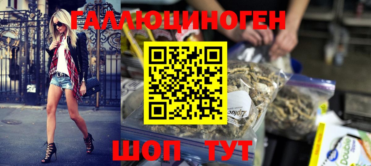 Чита  Псилоцибиновые грибы GOLDEN TEACHER  Вход с VPN  Галлюциногенные грибы прущие грибы 